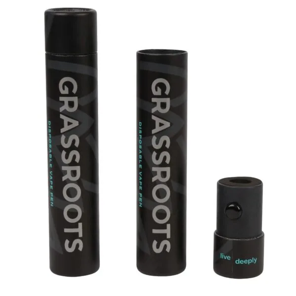 Child Resistant Disposable Vape Pen Paper Tube Packaging