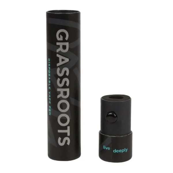 Child Resistant Disposable Vape Pen Paper Tube Packaging