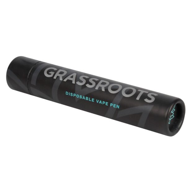 Child Resistant Disposable Vape Pen Paper Tube Packaging