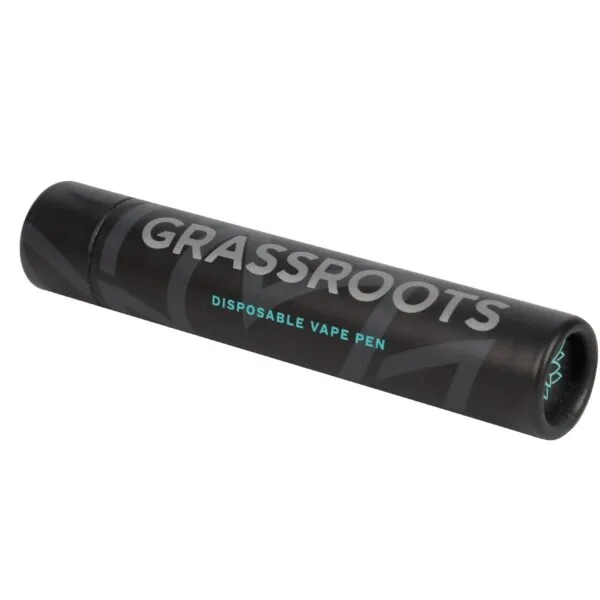 Child Resistant Disposable Vape Pen Paper Tube Packaging
