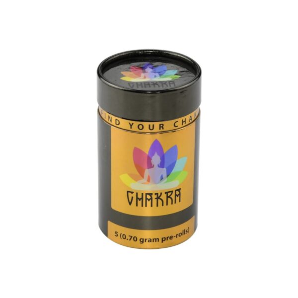 Eco-friendly Paper Tube Box Cardboard Cylinder Box for Protein Powder Packaging